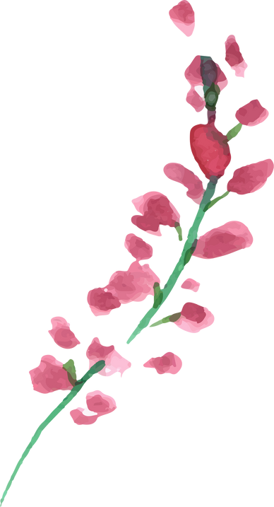 Watercolor Flower Plant Illustration